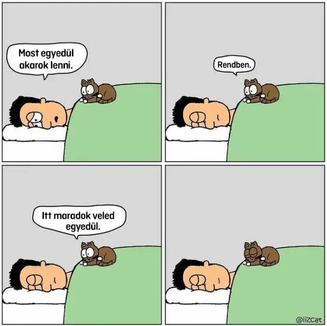 Macskás képregények 010
