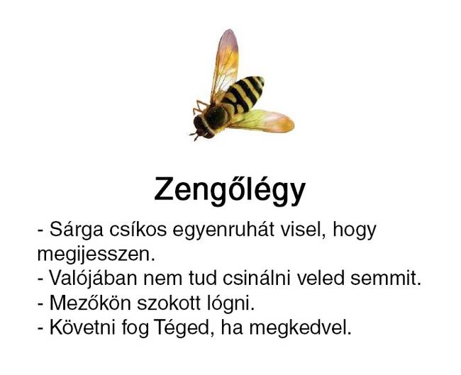 Valaki útmutatót készített a 'sárga csíkos izékhez', és ezt alighanem neked is látnod kell