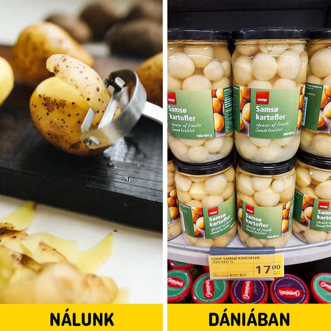 Dan krumpli