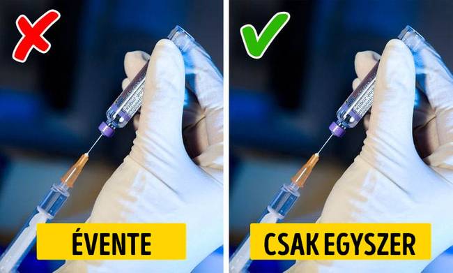 tévhit: a kutyákat és a macskákat folyamatosan újra kell oltani.