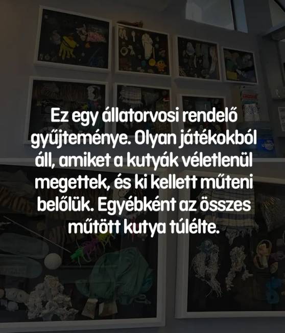 13 fényképrejtvény, amiken nem mindenki találja meg a választ