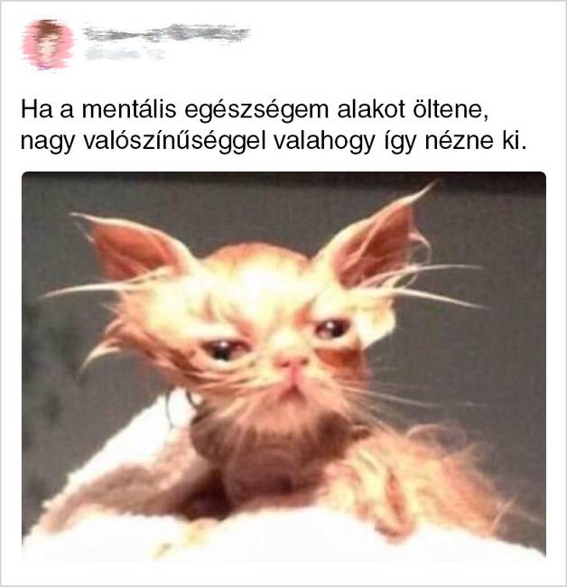 Vannak napok, amikor még így se.