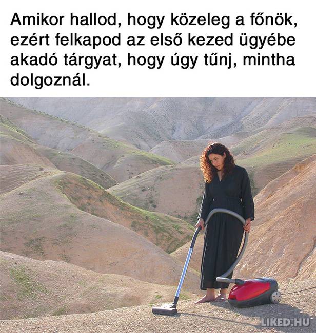 20 vicces mém a főnökökről, amit jobb, ha nem a munkahelyeden nézel meg