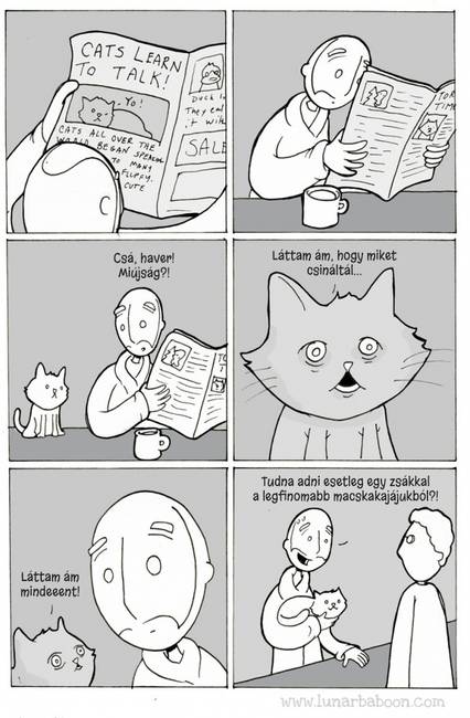 10 humoros képregény, ami megmutatja, hogy milyen együtt élni egy macskával