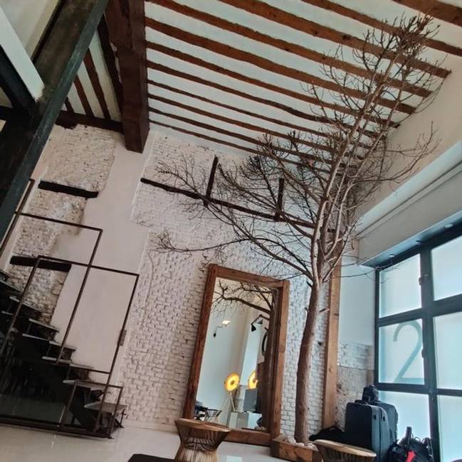 „Van egy fa az Airbnb-mben."