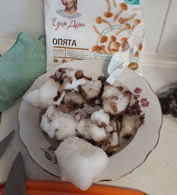 „Hó és jég nélkül a gombák súlya háromszor kisebb lett."