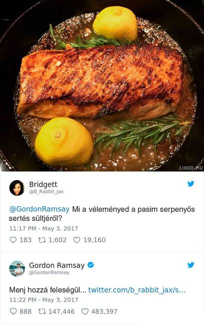 16 személy, aki jó ötletnek tartotta beküldeni a főztjét Gordon Ramsay Twitter oldalára