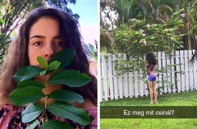 Csak remélni tudjuk, hogy ez a saját kertje.
