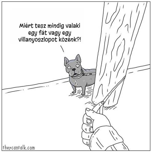 20 vicces illusztráció, ami bemutatja a kutyák és macskák furcsábbnál-furcsább szokásait