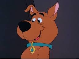 Scrappy Doo!?