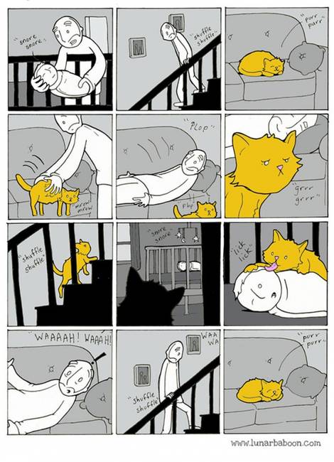 10 humoros képregény, ami megmutatja, hogy milyen együtt élni egy macskával