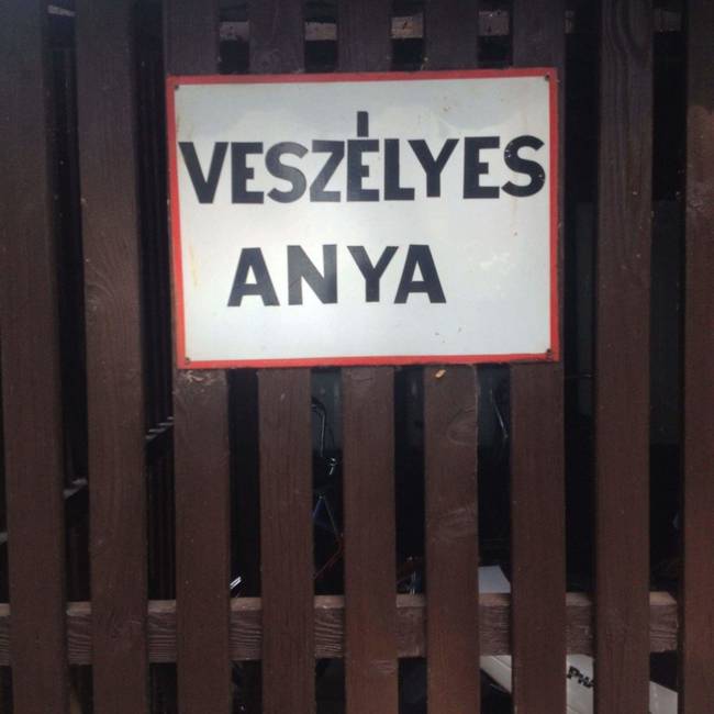 Nem a kutya itt a legrosszabb, akivel találkozhatnak a betörők.