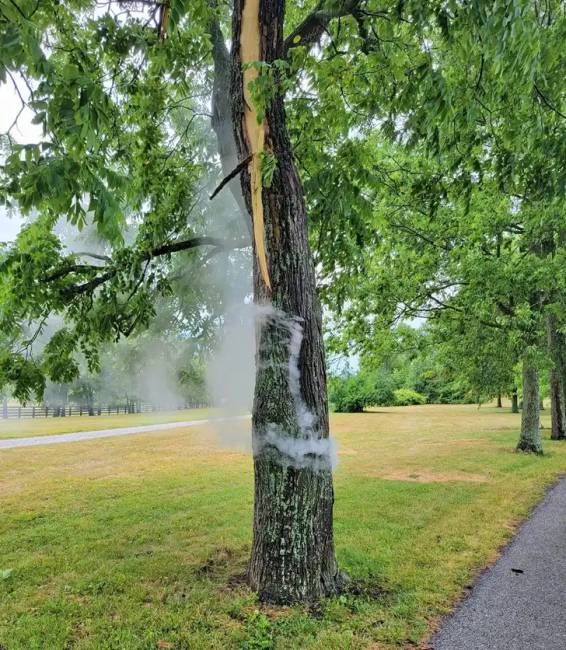 Váratlan dolgokra bukkant emberek015
