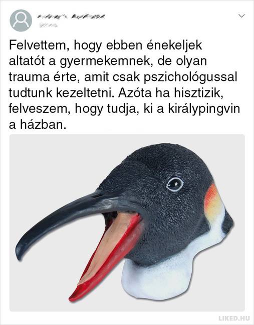 15 vicces vásárlói értékelés, amik jobbak, mint maguk a termékek