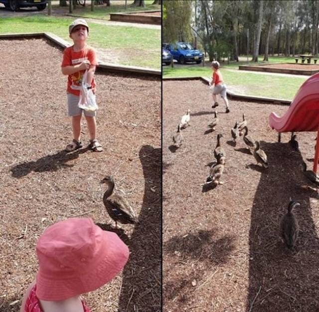 Kacsákat akart etetni, de aztán megijedt és elszaladt.