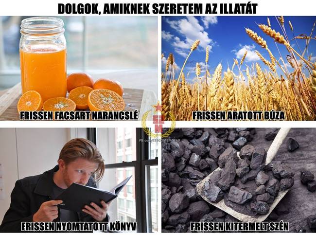 30 szocialista mém, amit csak a történelemben jártas emberek érthetnek igazán