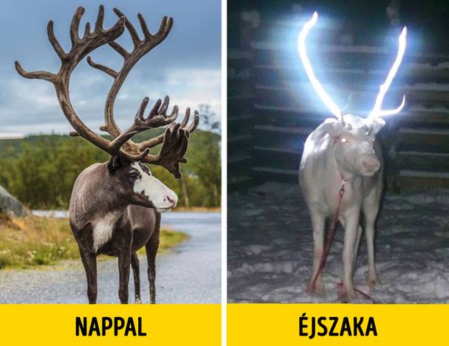 Modern útjelző táblák
