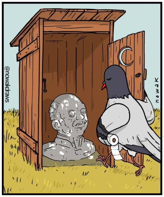 madár wc