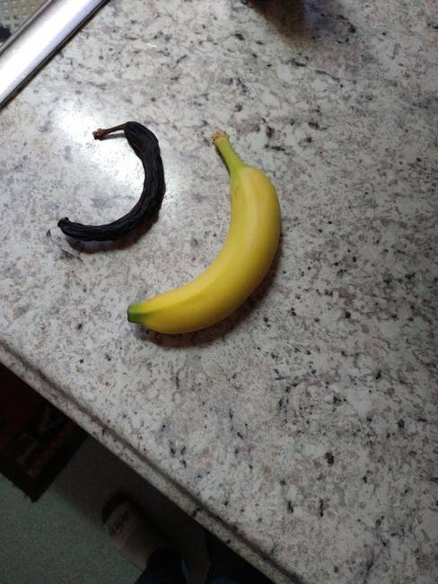 Ez történik egy banánnal, ha 20 évre egy kabát zsebében felejtik.