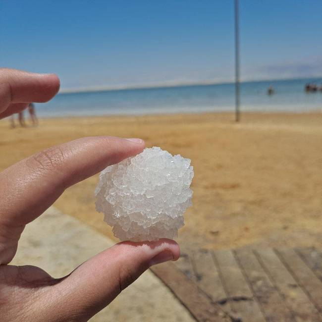„Sógolyó, amit a Holt-tengerben találtam."