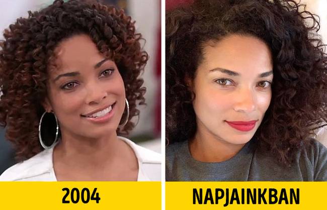 Rochelle Aytes (Denise Porter)