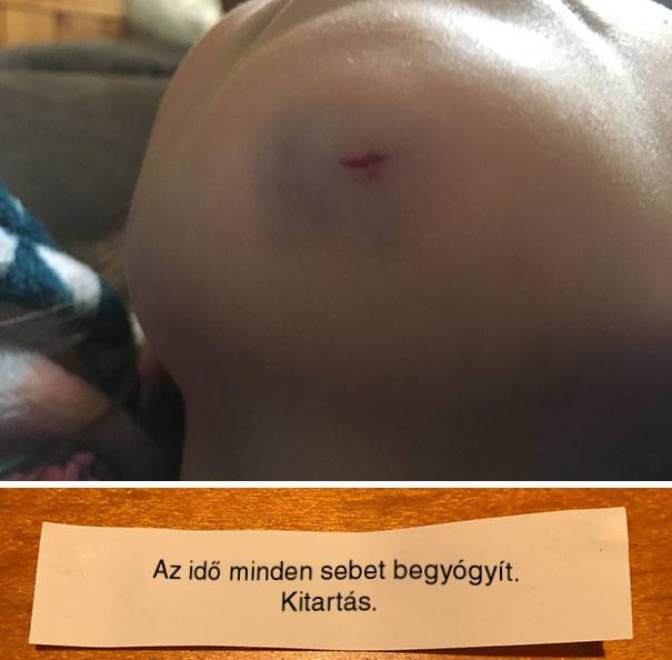 „A kislányom ma beütötte a térdét játék közben. Ebéd közben a következő üzenetet találta a szerencsesütiben…”