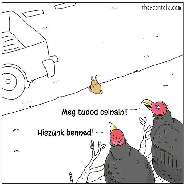 14 képregény, ami megmutatja, hogy milyen lenne a világ, ha a madarak beszélni tudnának