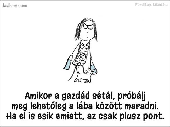 20 humoros illusztráció, ami megmutatja, hogyan kell jó macskának lenni