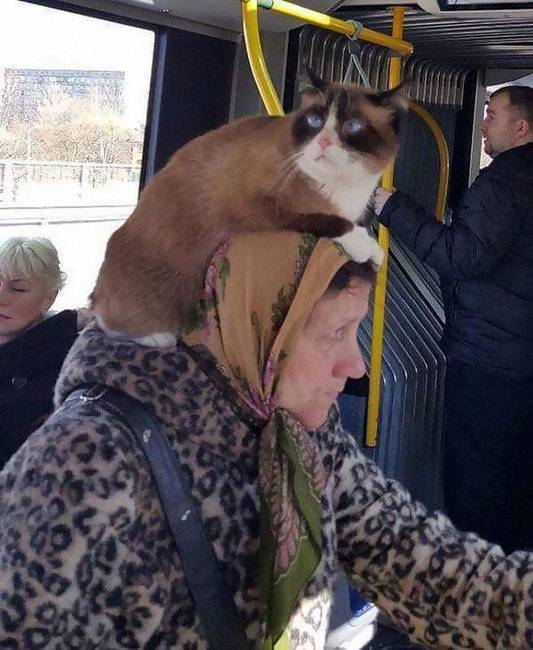 A rókaszőr sál már elavult.
