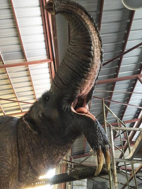 A Mainz-i Természettudományi Múzeumban kiállított Deinotherium.