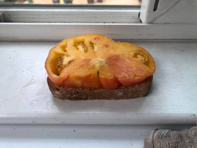 Egy másik alkalom, amikor a paradicsom és a kenyér egészítette ki egymást teljesen.