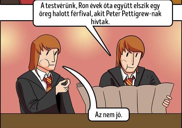 7 bizonyíték rá, hogy a Weasley-ikrek a legostobább Harry Potter karakterek