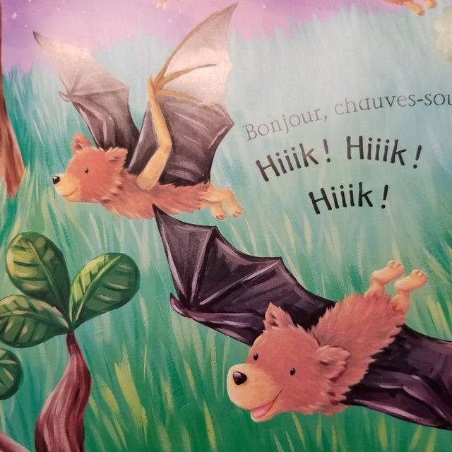„Egy gyerekkönyvben láttam ezeket a denevéreket, amik tulajdonképpen medvék."