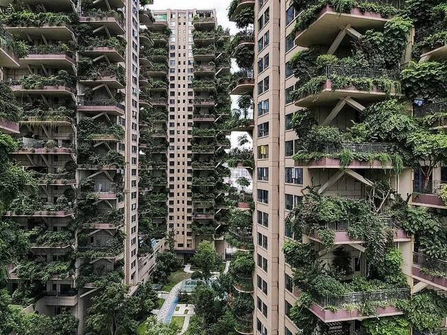 Qiyi City Forest Garden lakótelep - Csengdu, Kína