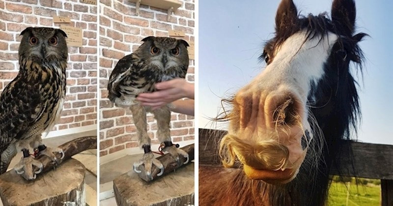 Ez a 10 kép érdekes tényeket tár fel, amikről valószínűleg nem tudtál