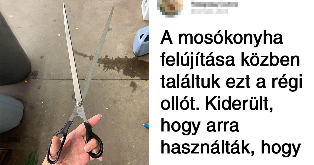 21 váratlan felfedezés, ami teljesen meglepte az internetezőket