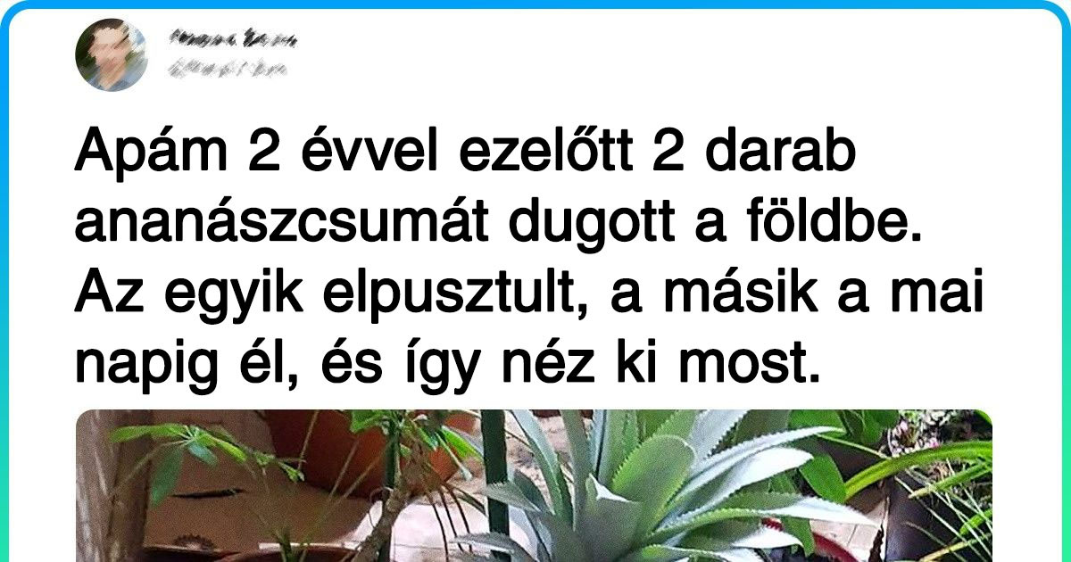 20 alkalom, amikor az élet olyan meglepetésekkel szolgált, amit nem könnyű felfogni ésszel