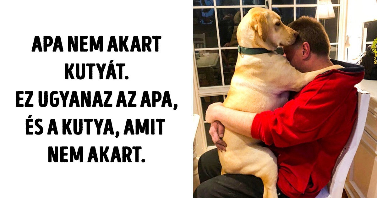 20 ember, akik ellenezték a háziállatokat, most meg már nem tudnak nélkülük élni