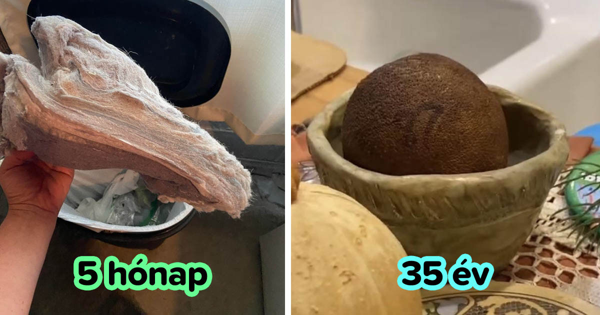 15 érdekes példa arra, hogyan változnak a dolgok, amelyeket egy időre elhagynak és elfelejtenek