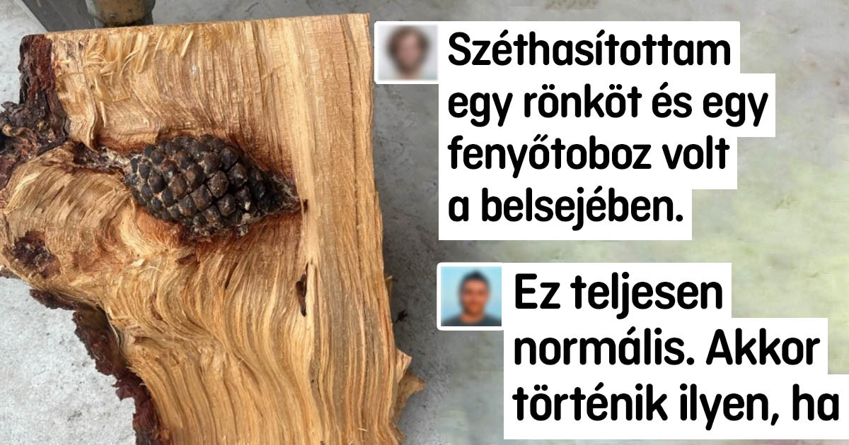 15+ ember, aki olyan fotókat készített, hogy ők maguk is alig akarják elhinni
