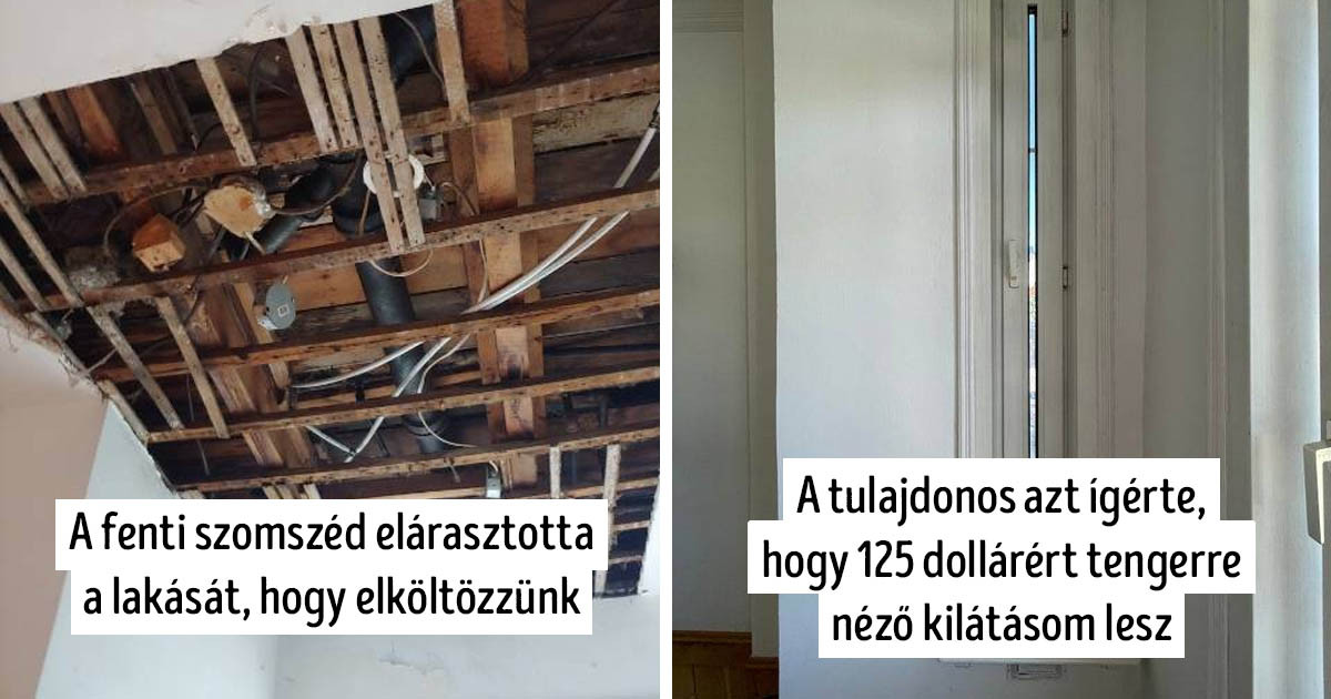 12 fotó az albérlők és főbérlők akciófilmbe illő összecsapásáról