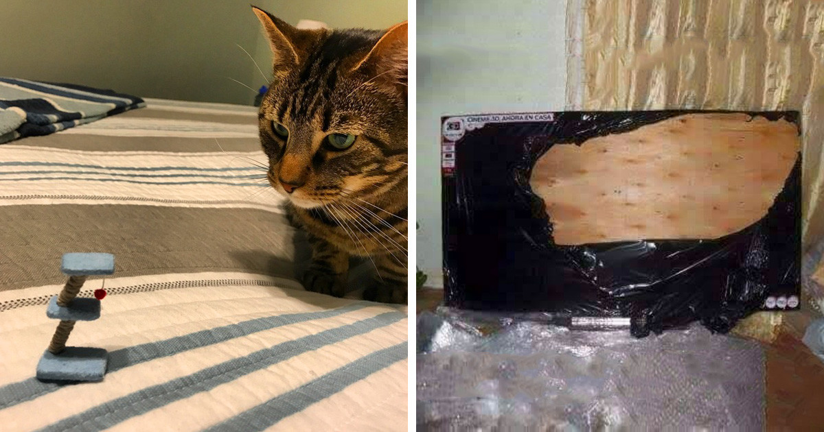 21 ember, akinél jobban még senki sem járt pórul az internetes vásárlással