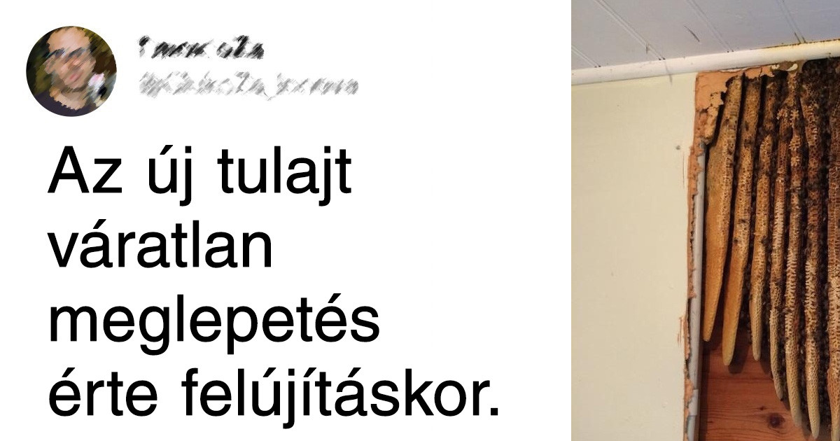 A 20 legfurcsább dolog, amit az emberek az otthonuk felújítása közben találtak