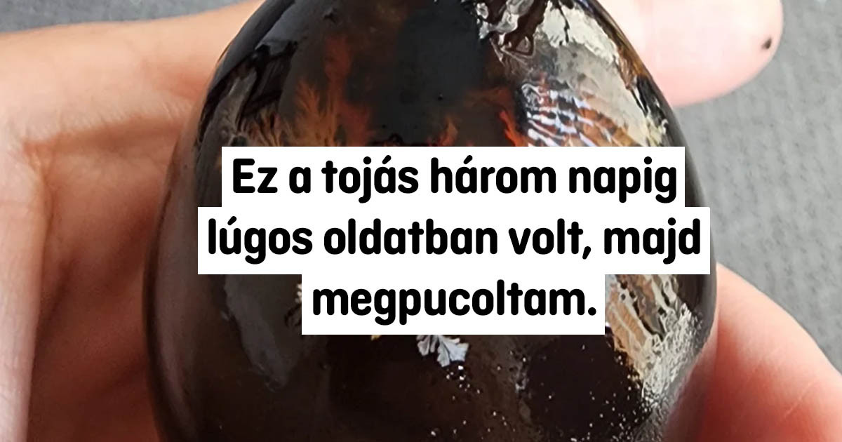18 ember, aki hirtelen megtudta, hogy "Mi történik, ha…?"