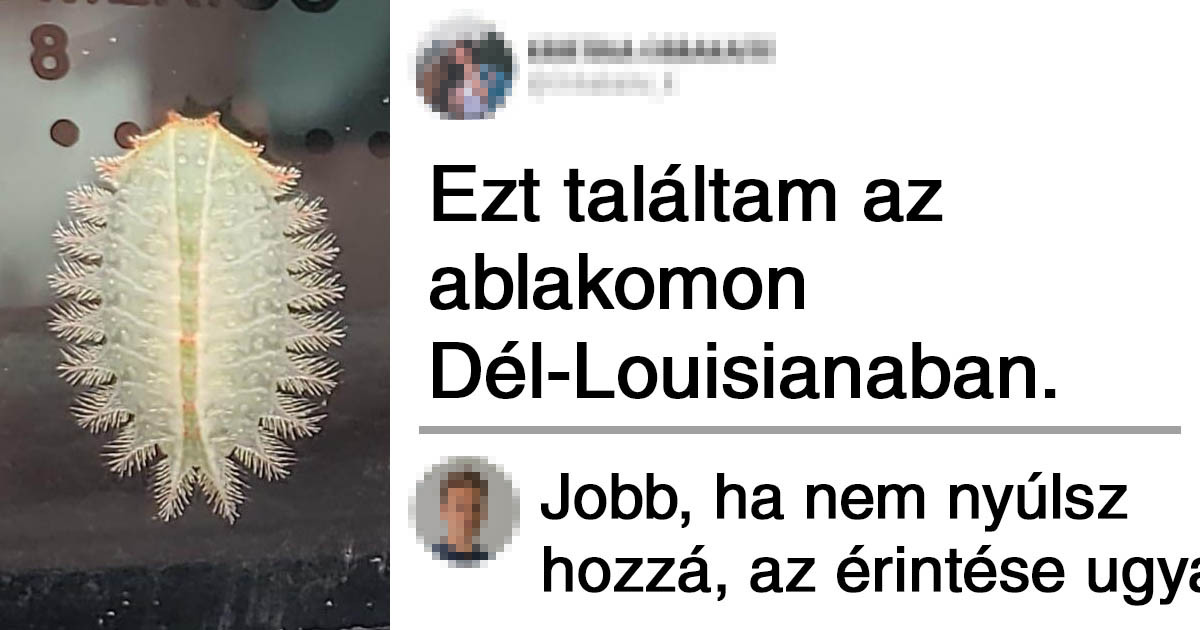 16 megmagyarázhatatlannak tűnő fotó, amiről kiderült, hogy nincs is rajta semmi természetfeletti