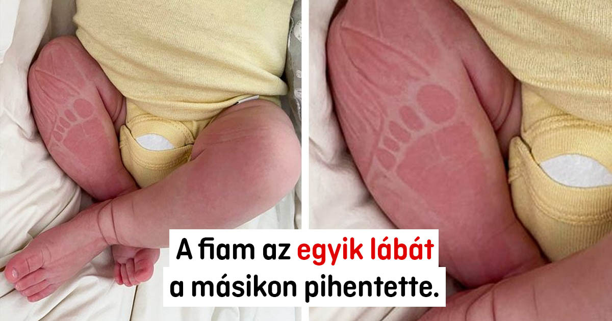 18 fotó, ami megmelengette a szívünket, mint egy forró tea egy hideg reggelen