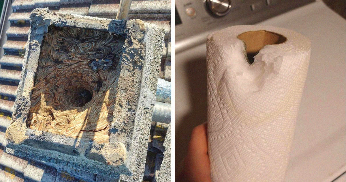 18 fotó, ami gyors és egyértelmű választ ad pár igen érdekes "Mi történik, ha…?" kérdésre