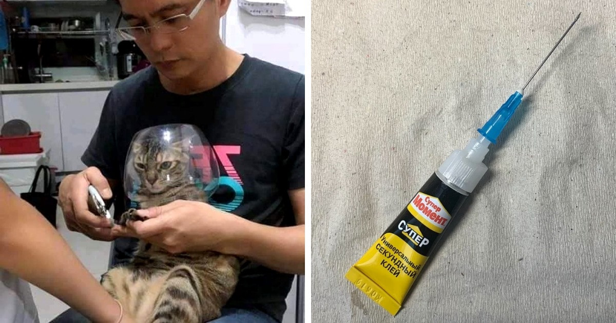 17 lifehack olyan zseniktől, akiknek sikerült kicselezniük az élet problémáit