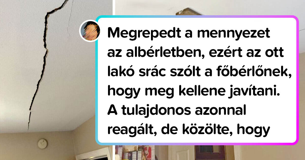 15+ pimasz ember, akik számára a hanyag munka teljesen természetessé vált