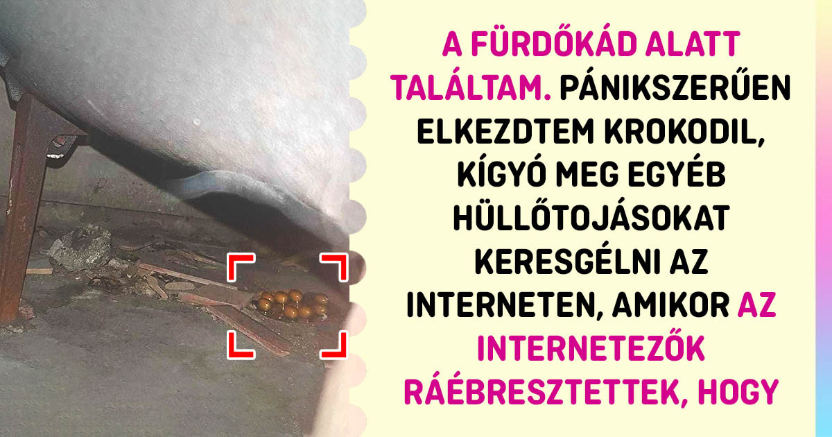 17 ember, aki izgalmasabb dologra bukkant, mint egy pénzzel teli tárca